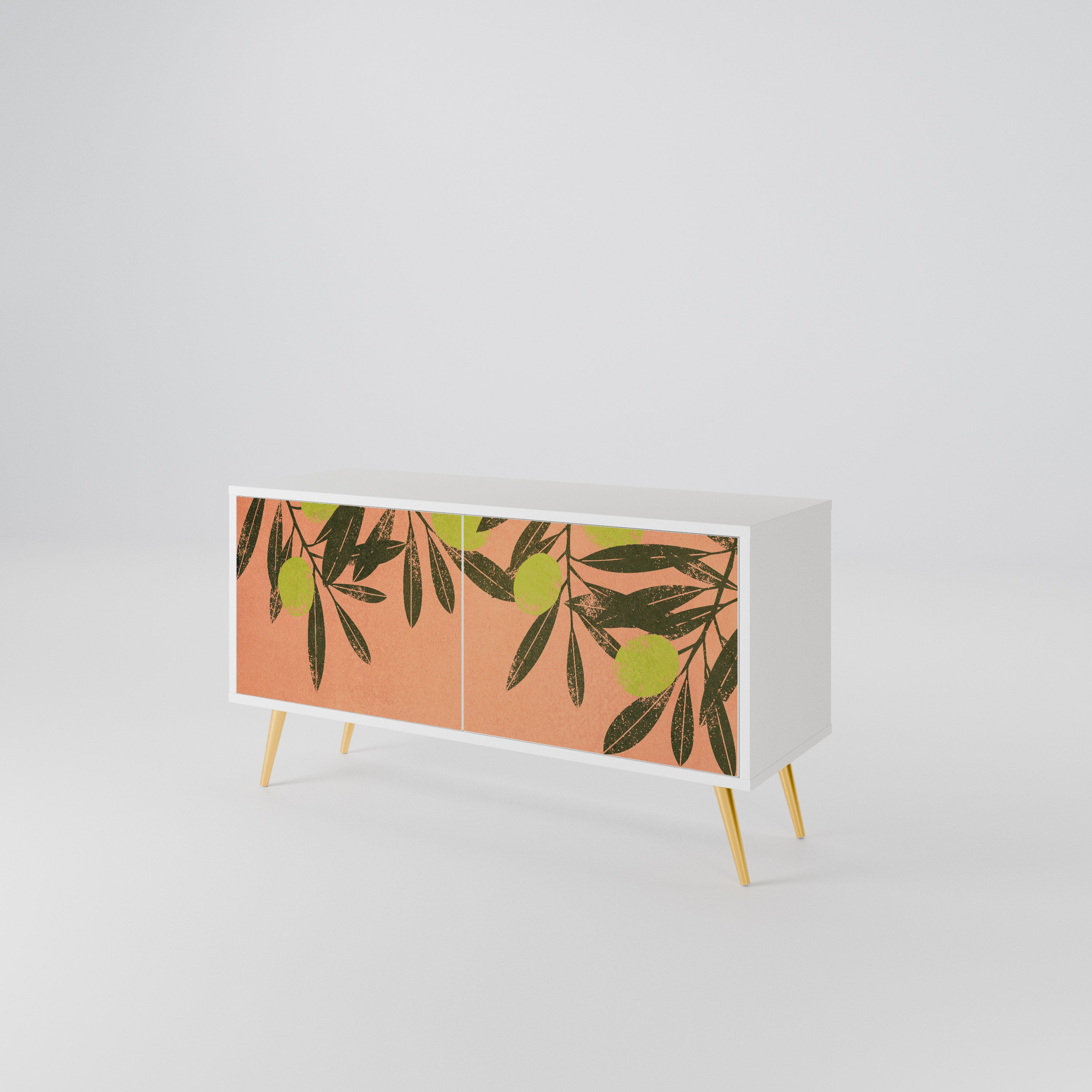 JUICY OLIVES Compact 2-Door TV Cabinet
