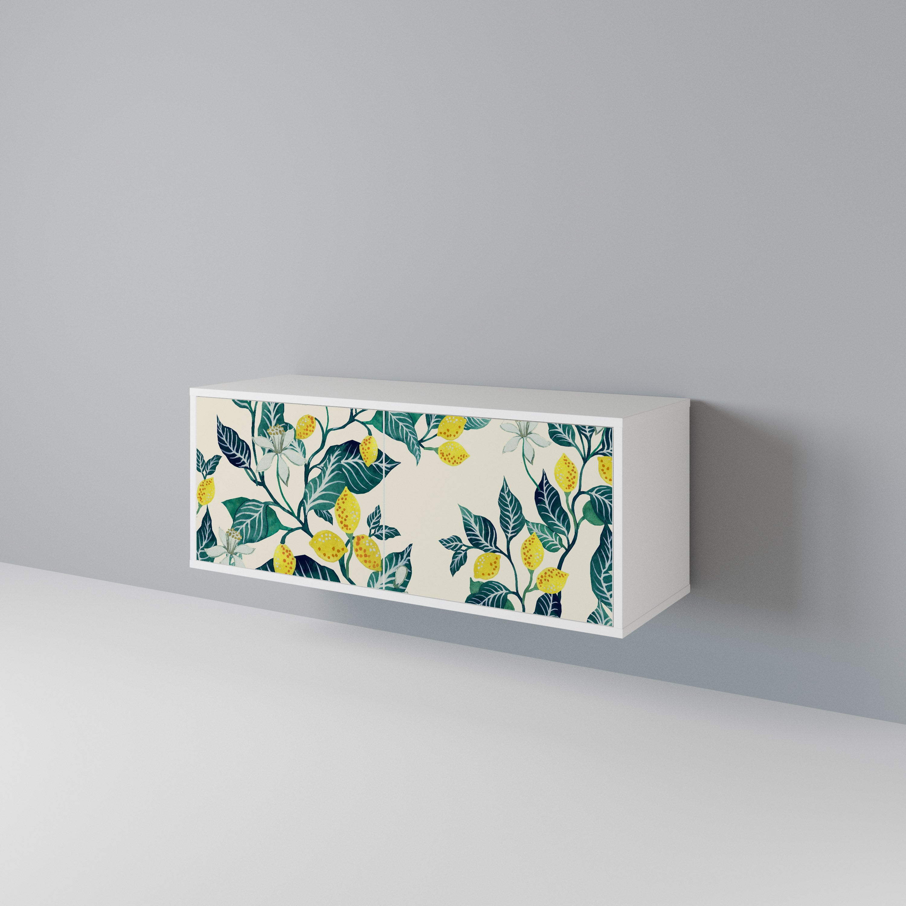 LEMON TREE Compact 2-Door TV Cabinet