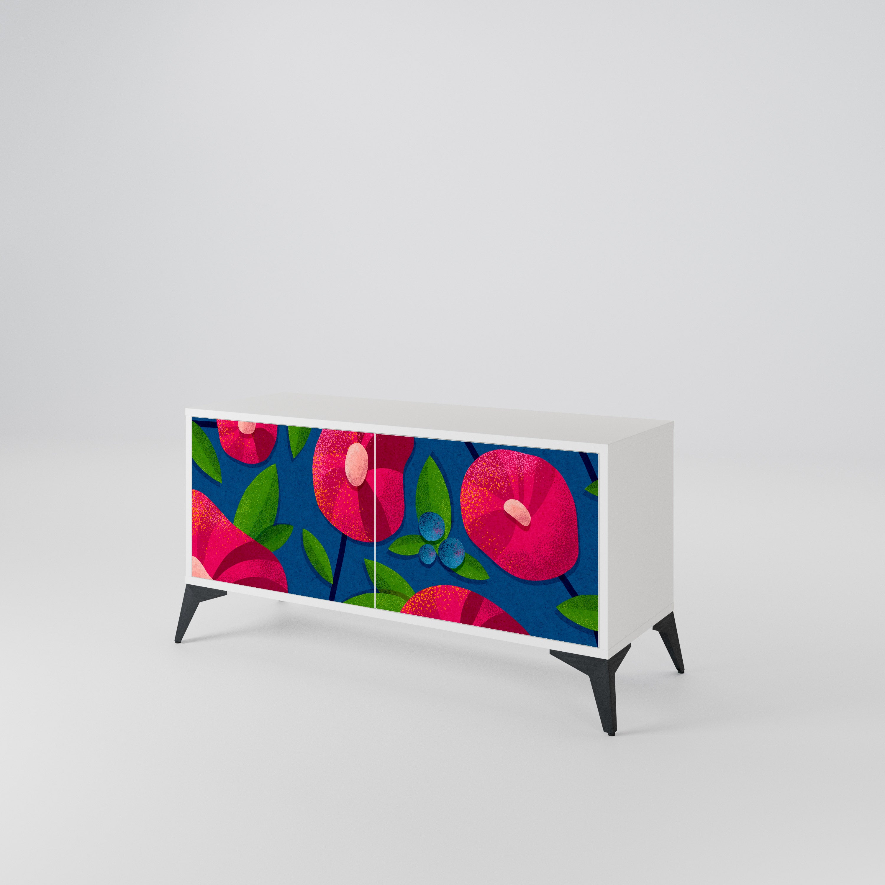 SPRING THOUGHTS Compact 2-Door TV Cabinet