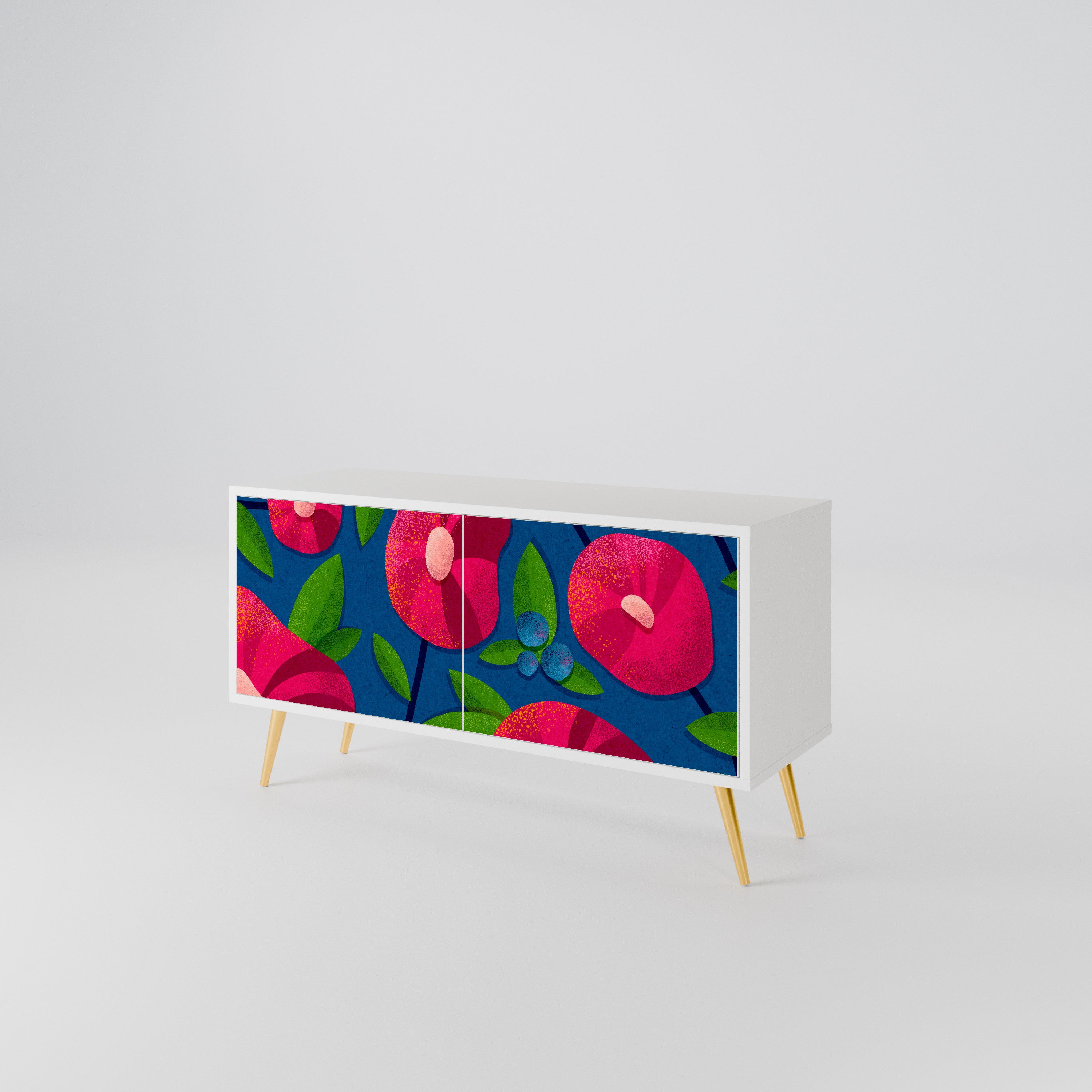 SPRING THOUGHTS Compact 2-Door TV Cabinet