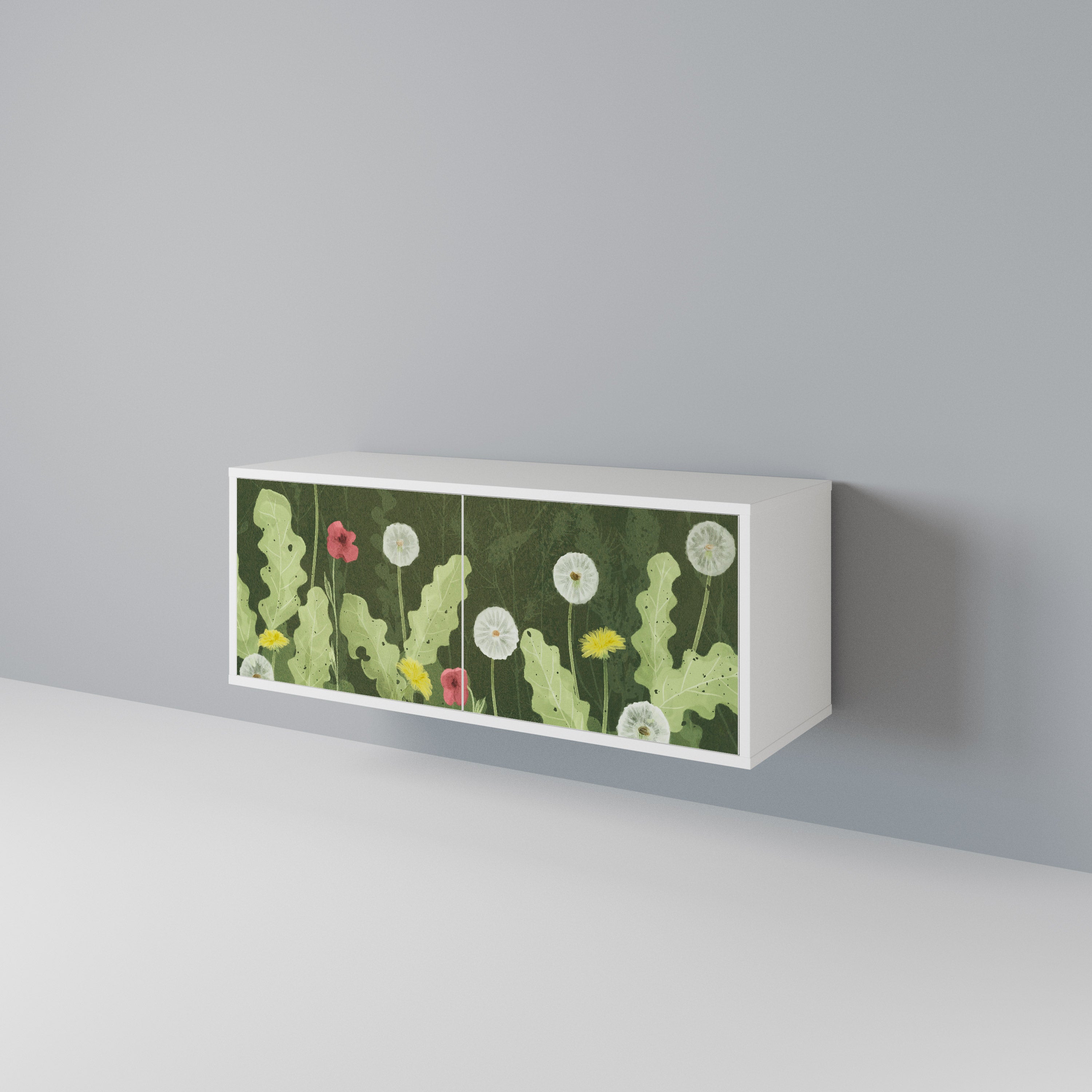 DANDELION AMUSE Compact 2-Door TV Cabinet