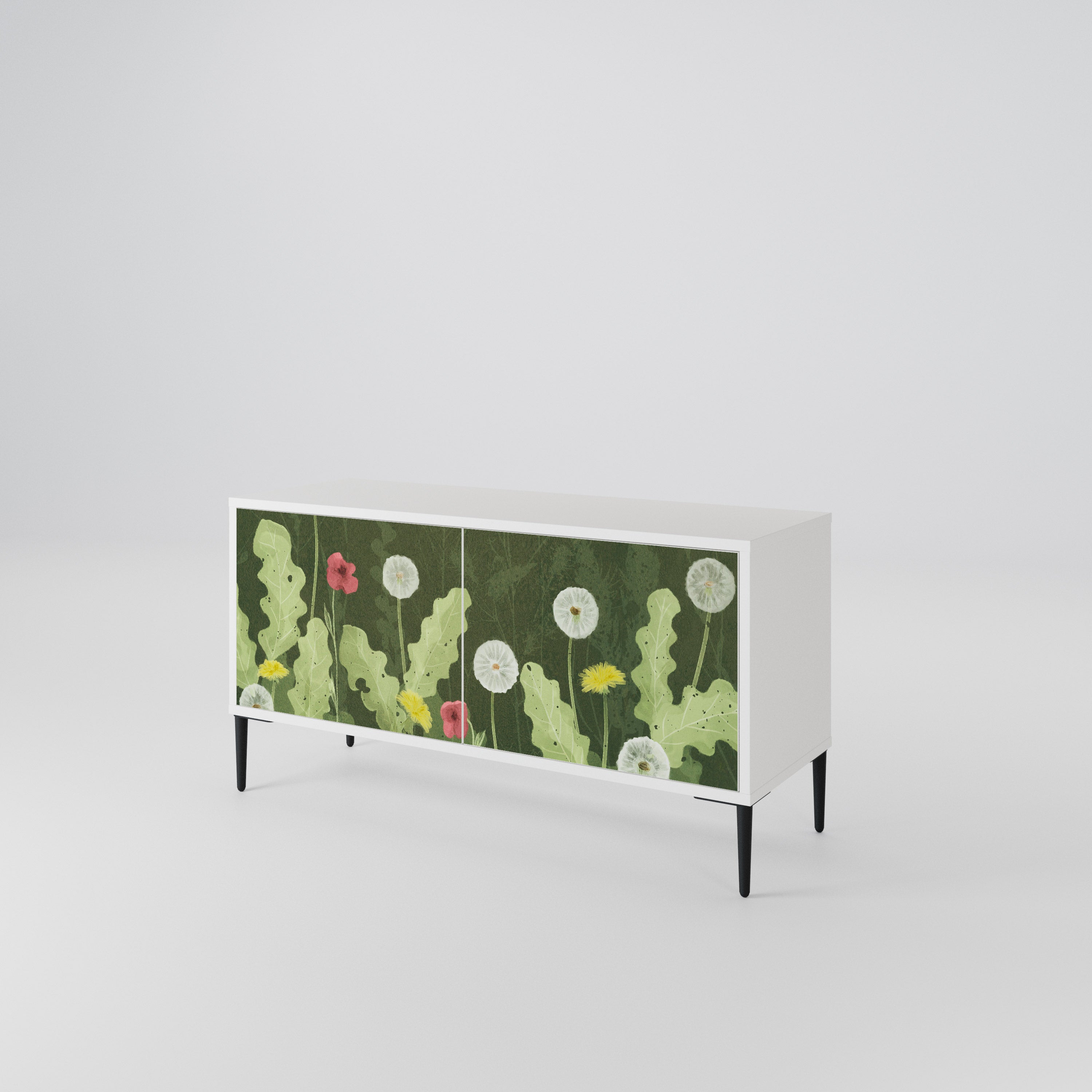 DANDELION AMUSE Compact 2-Door TV Cabinet
