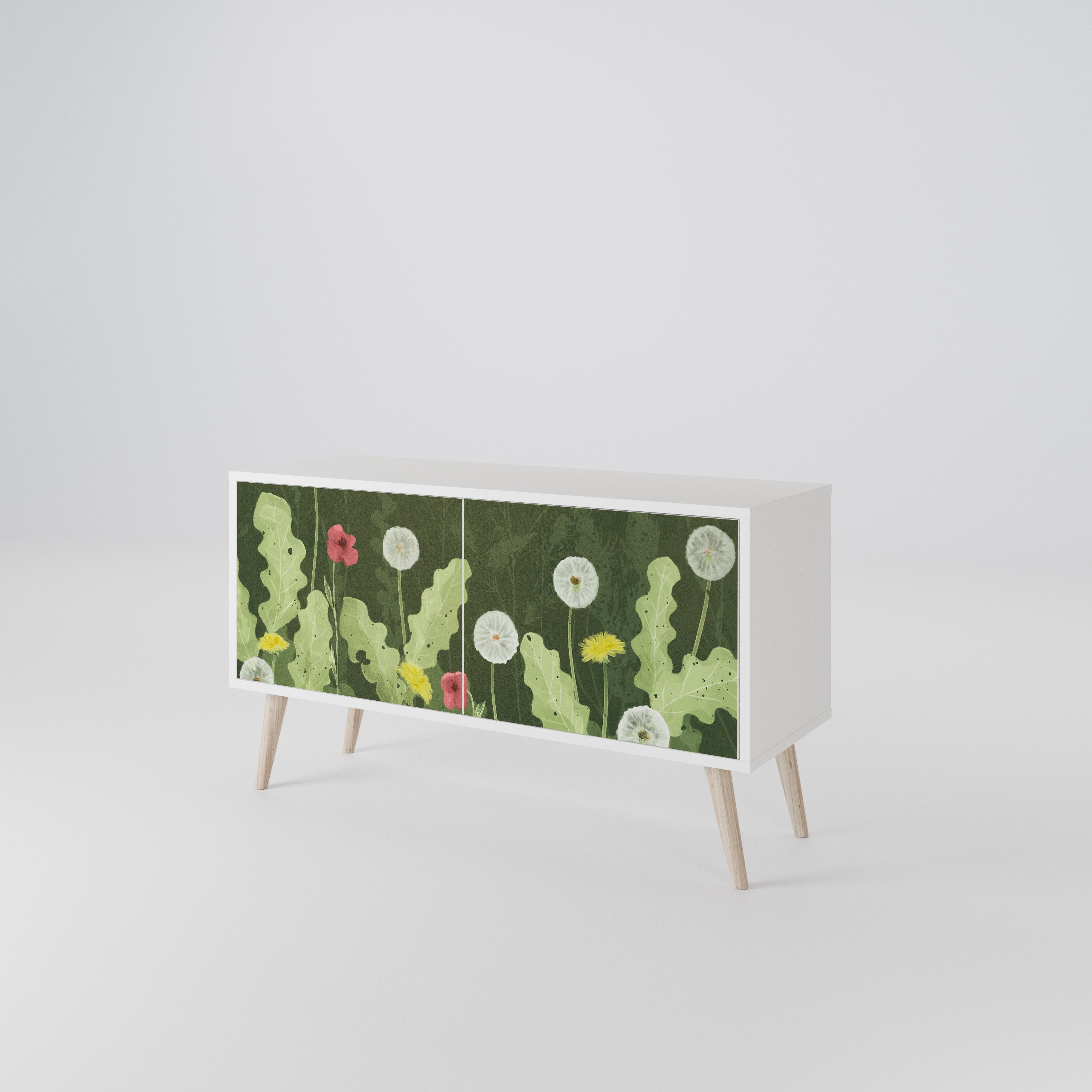 DANDELION AMUSE Compact 2-Door TV Cabinet