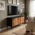 NATURAL WOOD Compact 2-Door TV Cabinet