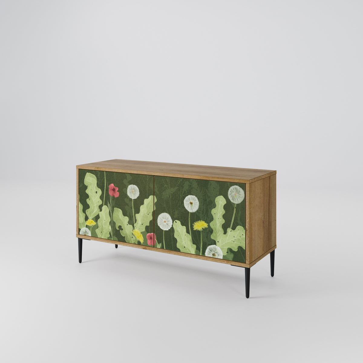 DANDELION AMUSE Compact 2-Door TV Cabinet