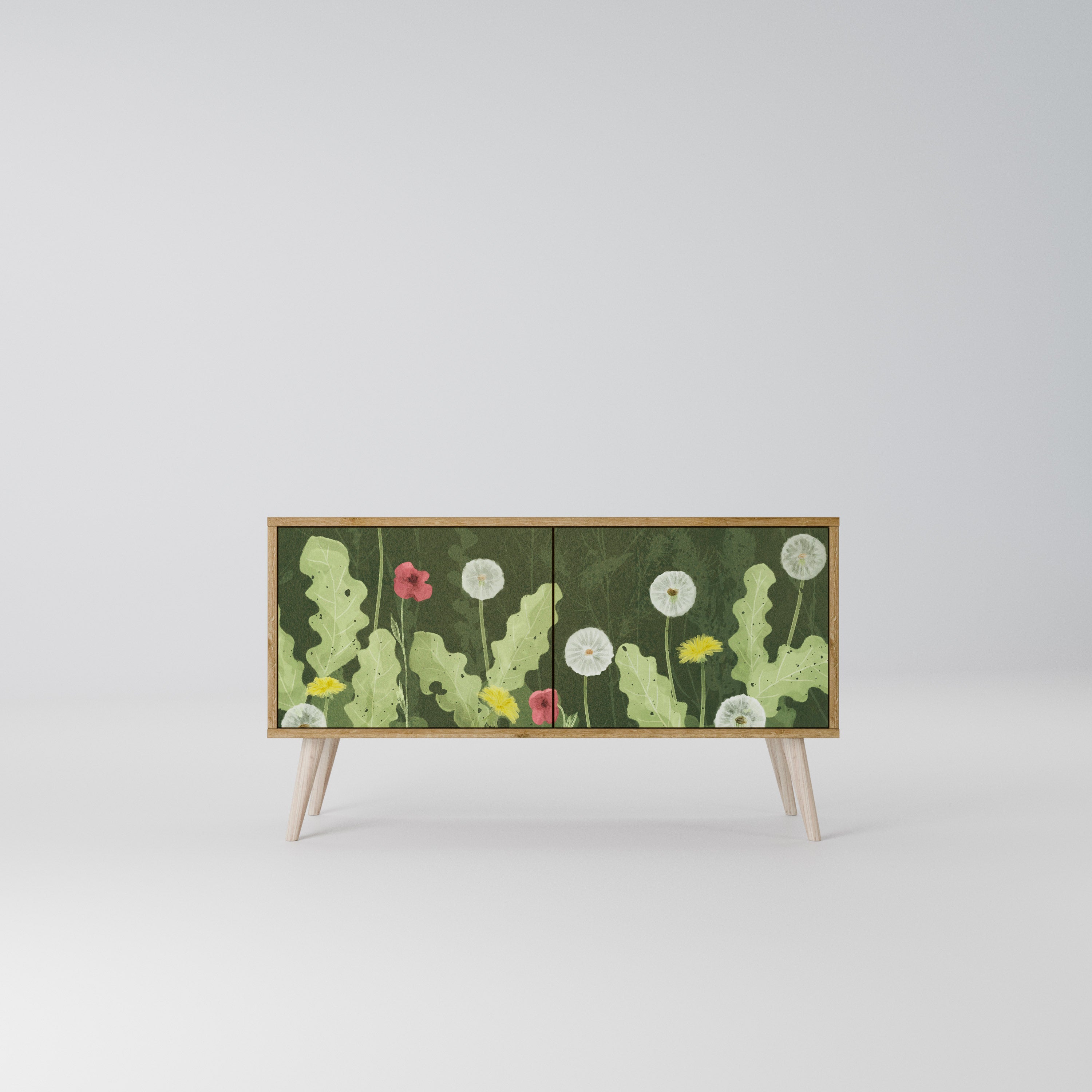 DANDELION AMUSE Compact 2-Door TV Cabinet