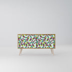 INDIAN FISH Compact 2-Door TV Cabinet