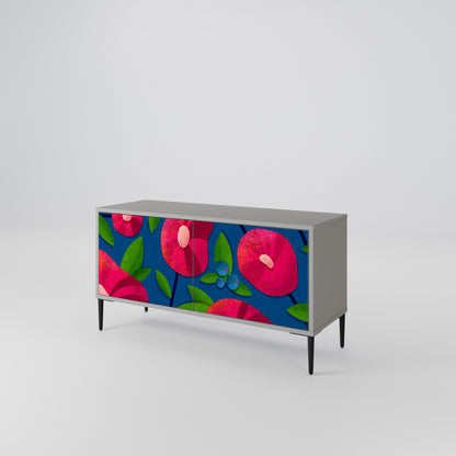 SPRING THOUGHTS Compact 2-Door TV Cabinet