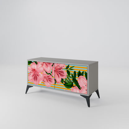 FRAGILE BEAUTY Compact 2-Door TV Cabinet