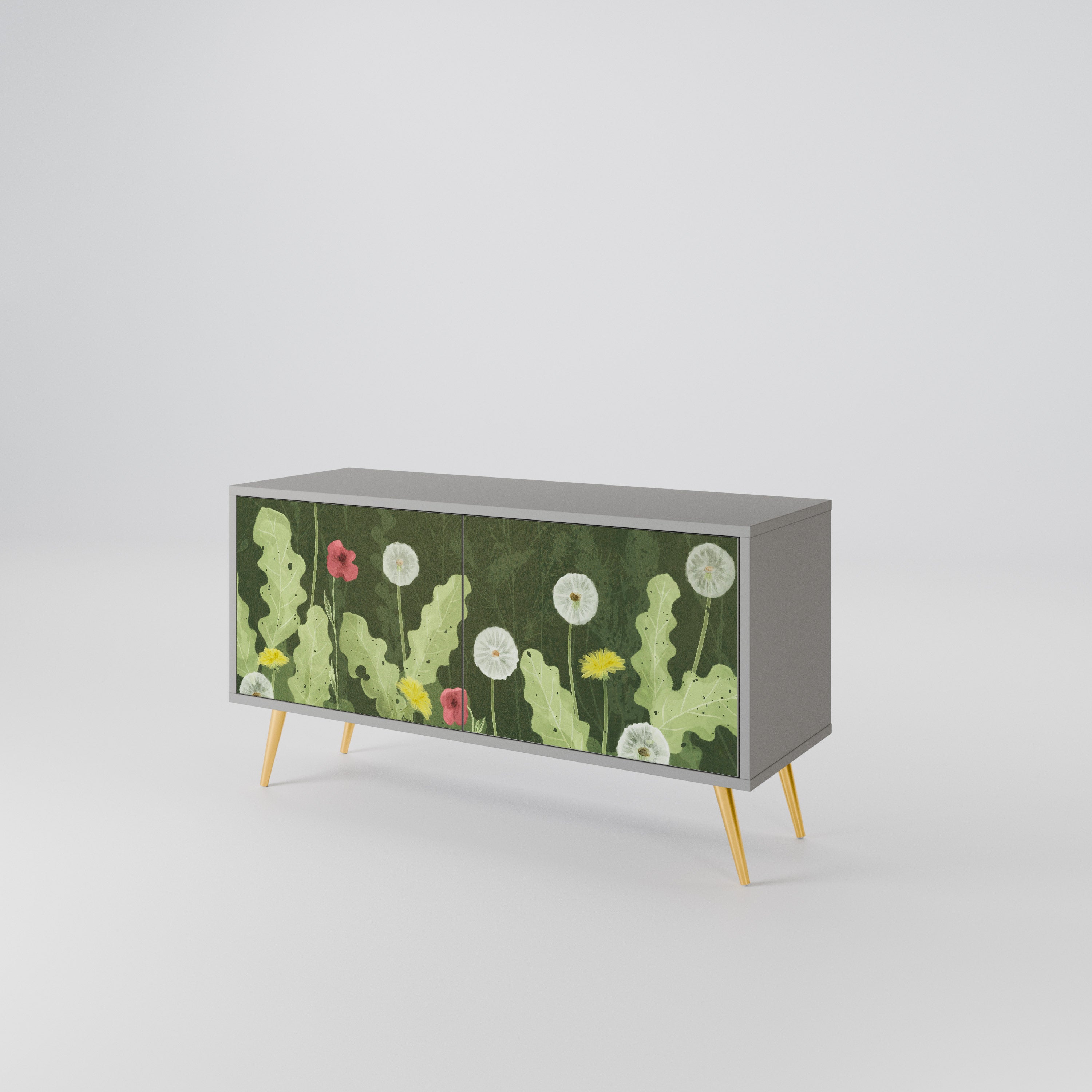 DANDELION AMUSE Compact 2-Door TV Cabinet