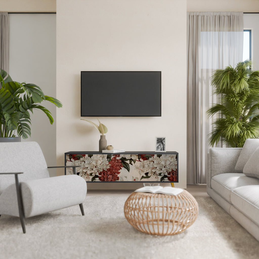 EPHEMERAL DAYS 3-Door TV Stand in Black Finish