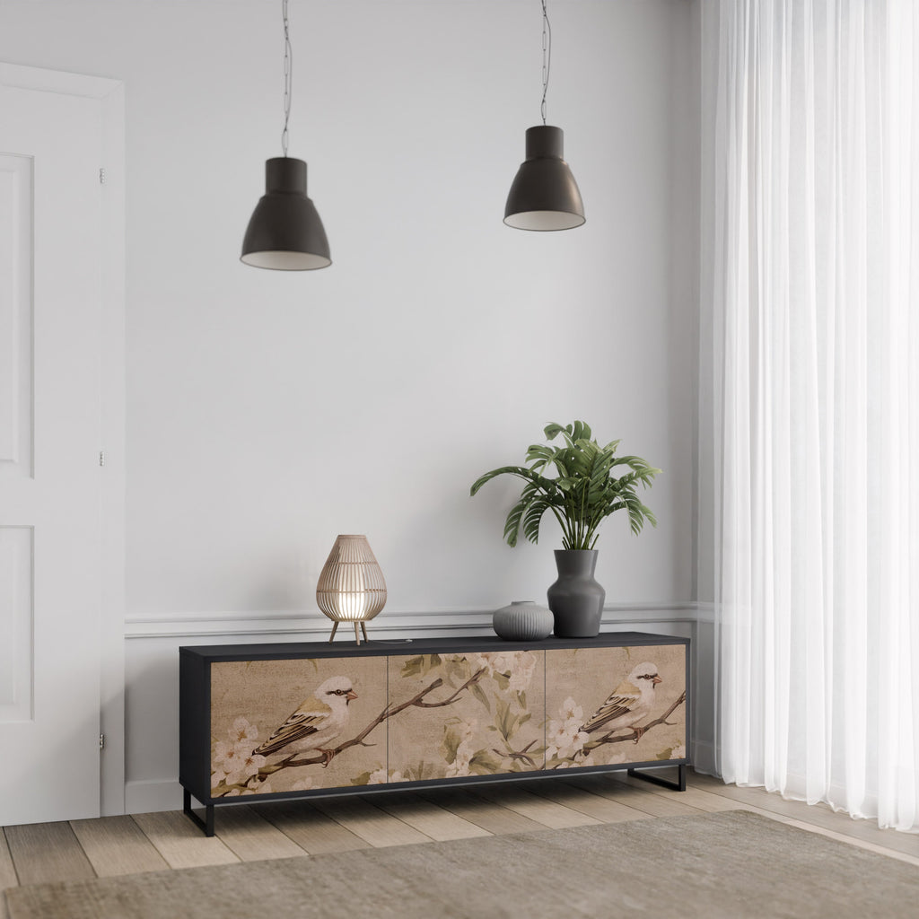 PETAL DISTINGUISH 3-Door TV Stand in Black Finish