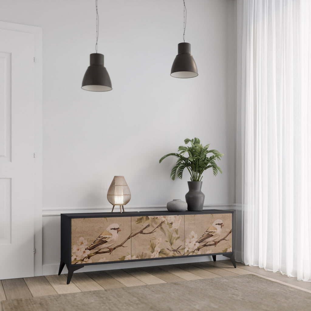 PETAL DISTINGUISH 3-Door TV Stand in Black Finish