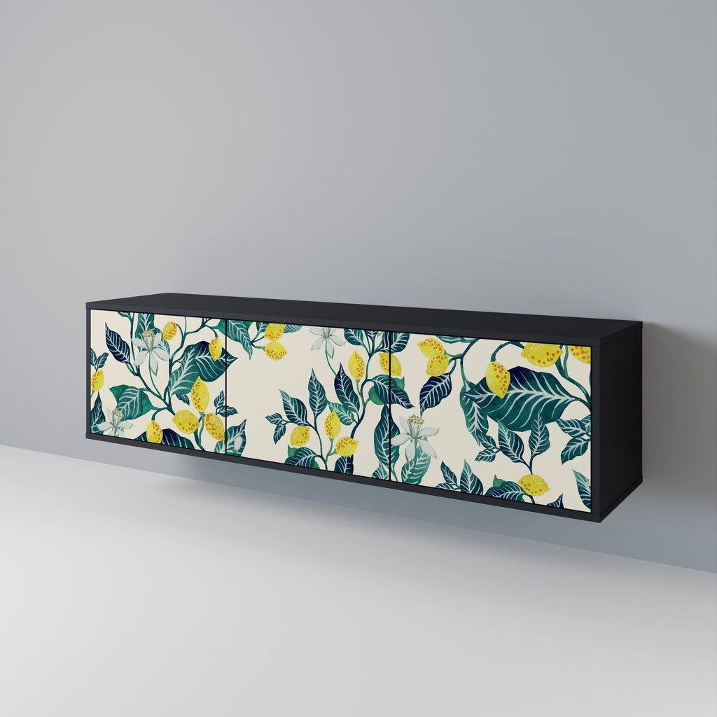 LEMON TREE 3-Door TV Stand in Black Finish