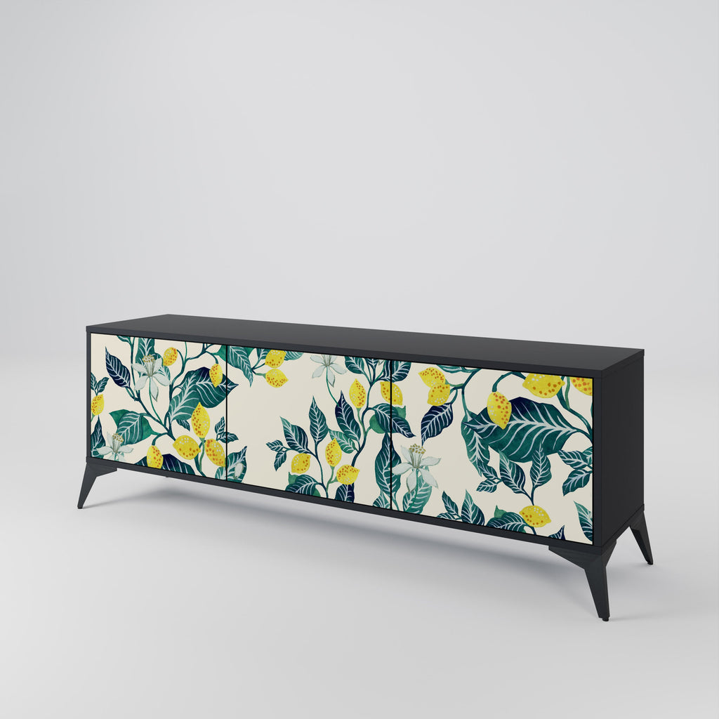 LEMON TREE 3-Door TV Stand in Black Finish