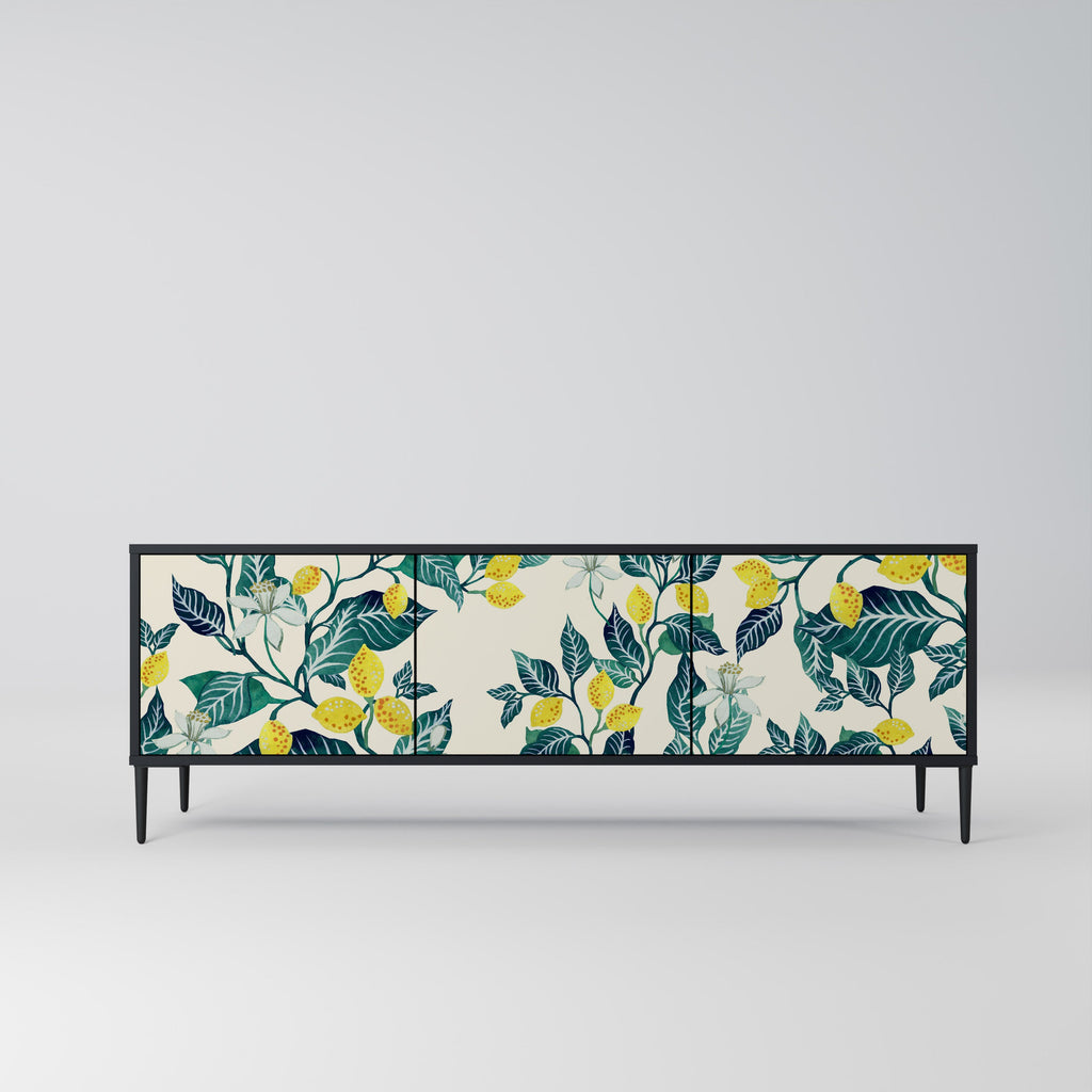 LEMON TREE 3-Door TV Stand in Black Finish