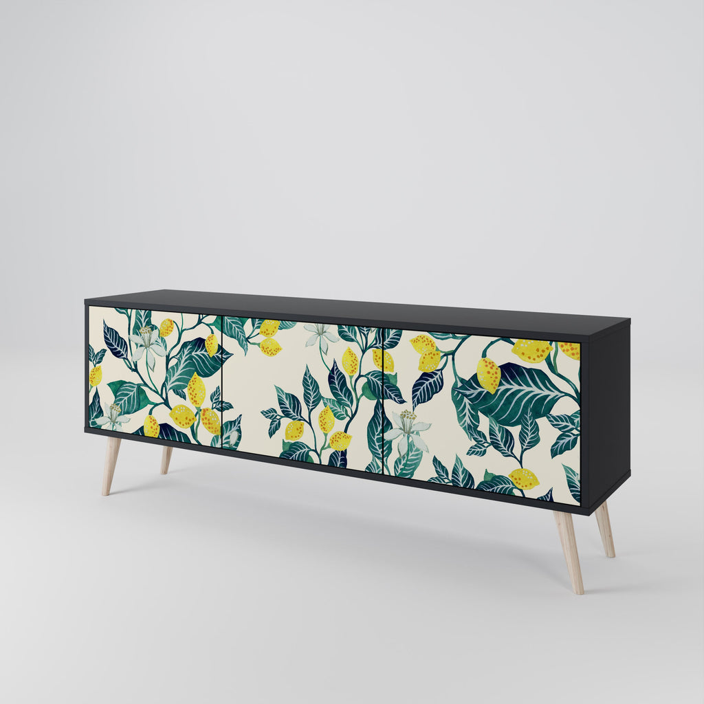 LEMON TREE 3-Door TV Stand in Black Finish