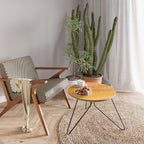 ORANGE IMPRESSION Coffee Table