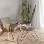 GHOSTS OF NATURE Coffee Table