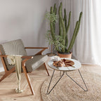 WONDER WINDSCAPE Coffee Table