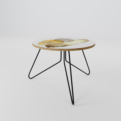 TRANSCENDENT TONES Coffee Table