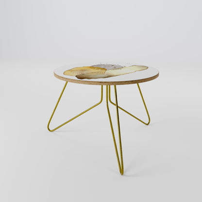 TRANSCENDENT TONES Coffee Table