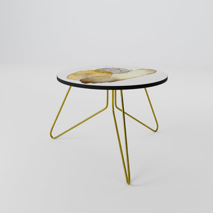 TRANSCENDENT TONES Coffee Table