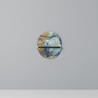 ABSTRACT THOUGHTS Art Shelf