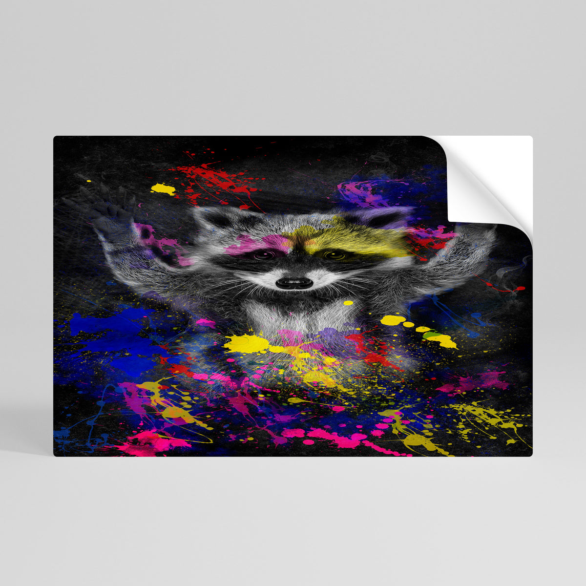 RACCOON ARTISTRY Peel and Stick Horizontal Poster
