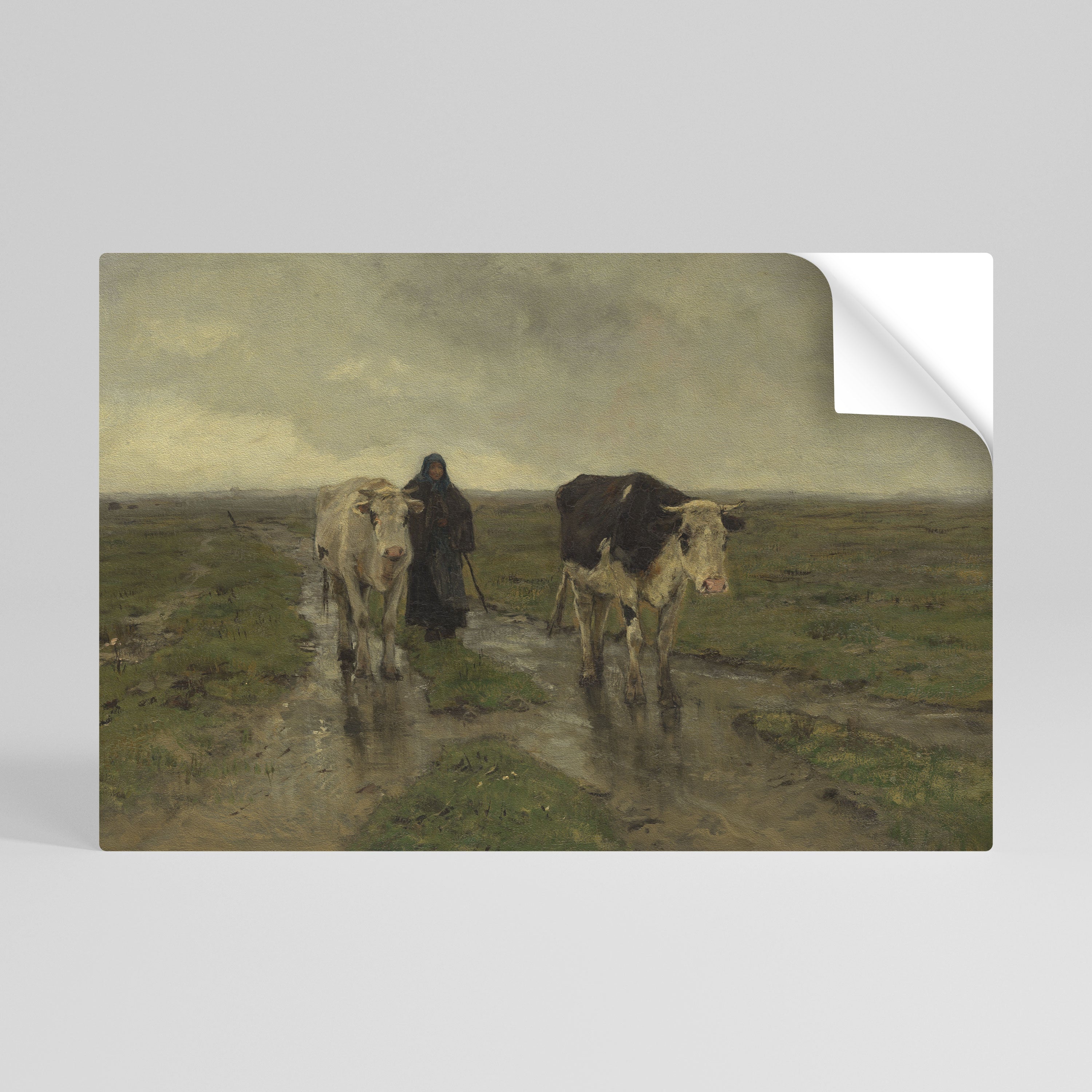 Affiche horizontale autocollante « RÉFLÉCHISSEMENTS DE PLUIE »