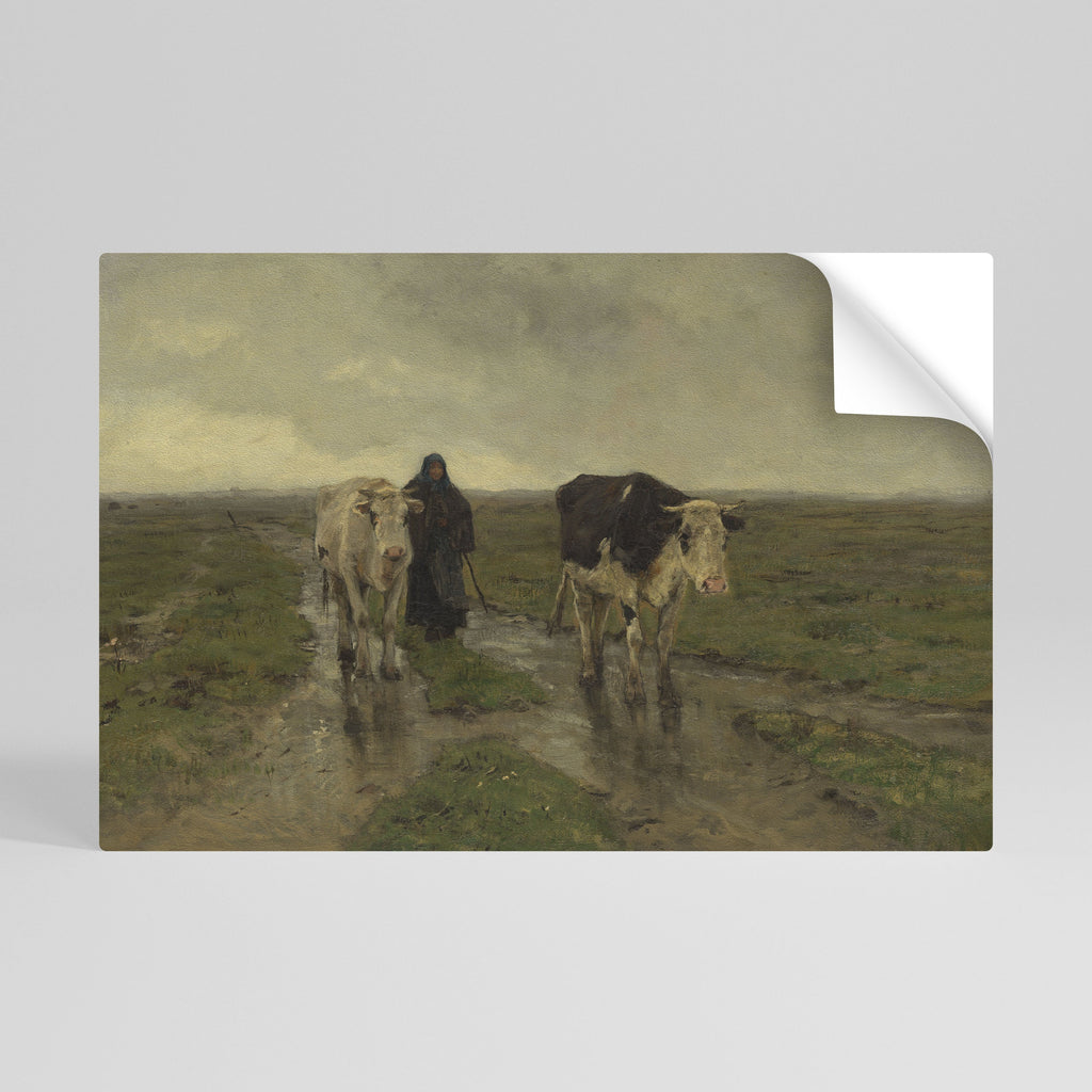 Affiche horizontale autocollante « RÉFLÉCHISSEMENTS DE PLUIE »