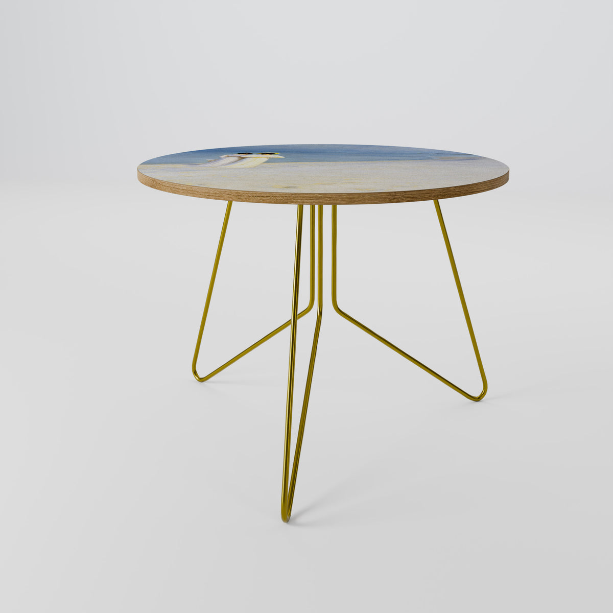 SUMMER EVENING ON SKAGEN'S BEACH Coffee Table
