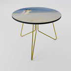 SUMMER EVENING ON SKAGEN'S BEACH Coffee Table