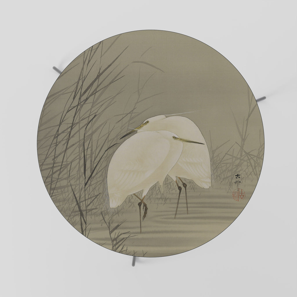 ZILVERREIGERS EN MOERAS Table Basse 69