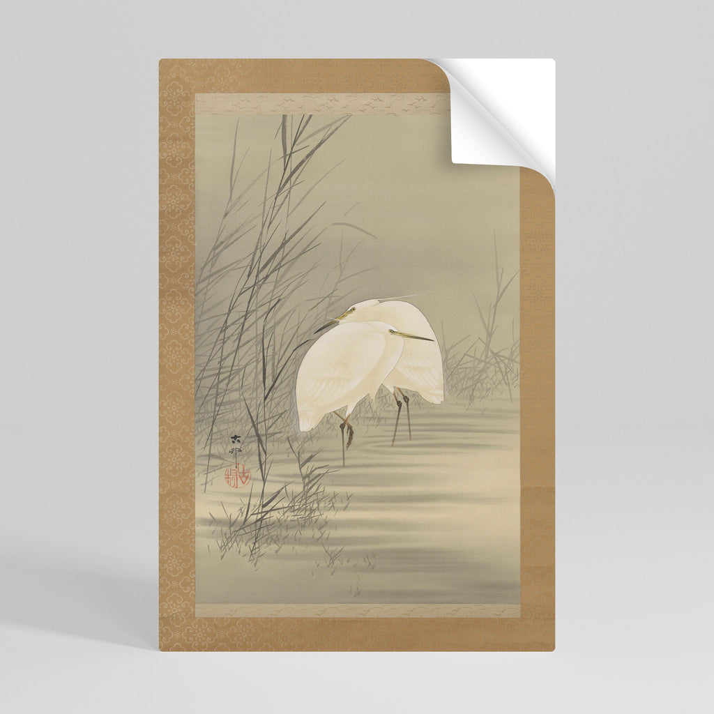 ZILVERREIGERS IN MOERAS Affiche verticale à décoller et à coller