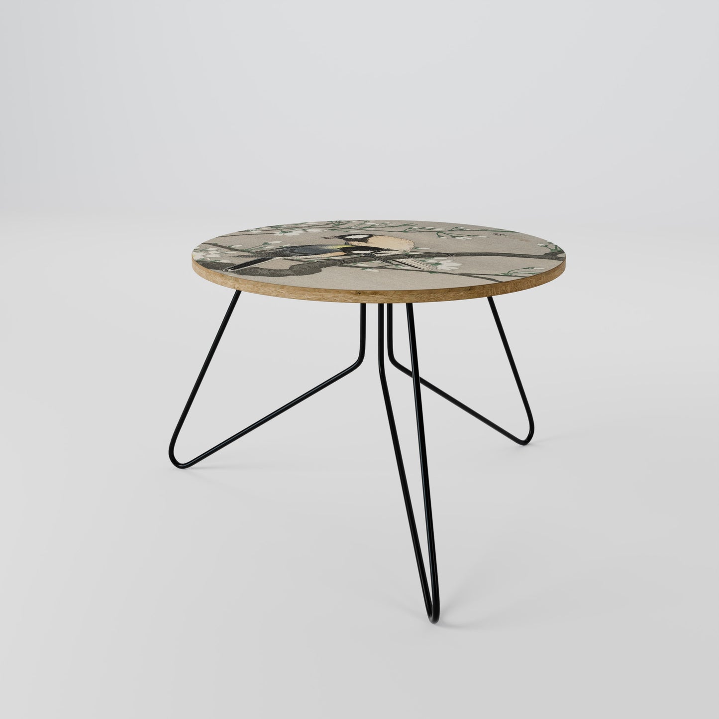 TITS ON CHERRY BRANCH Coffee Table