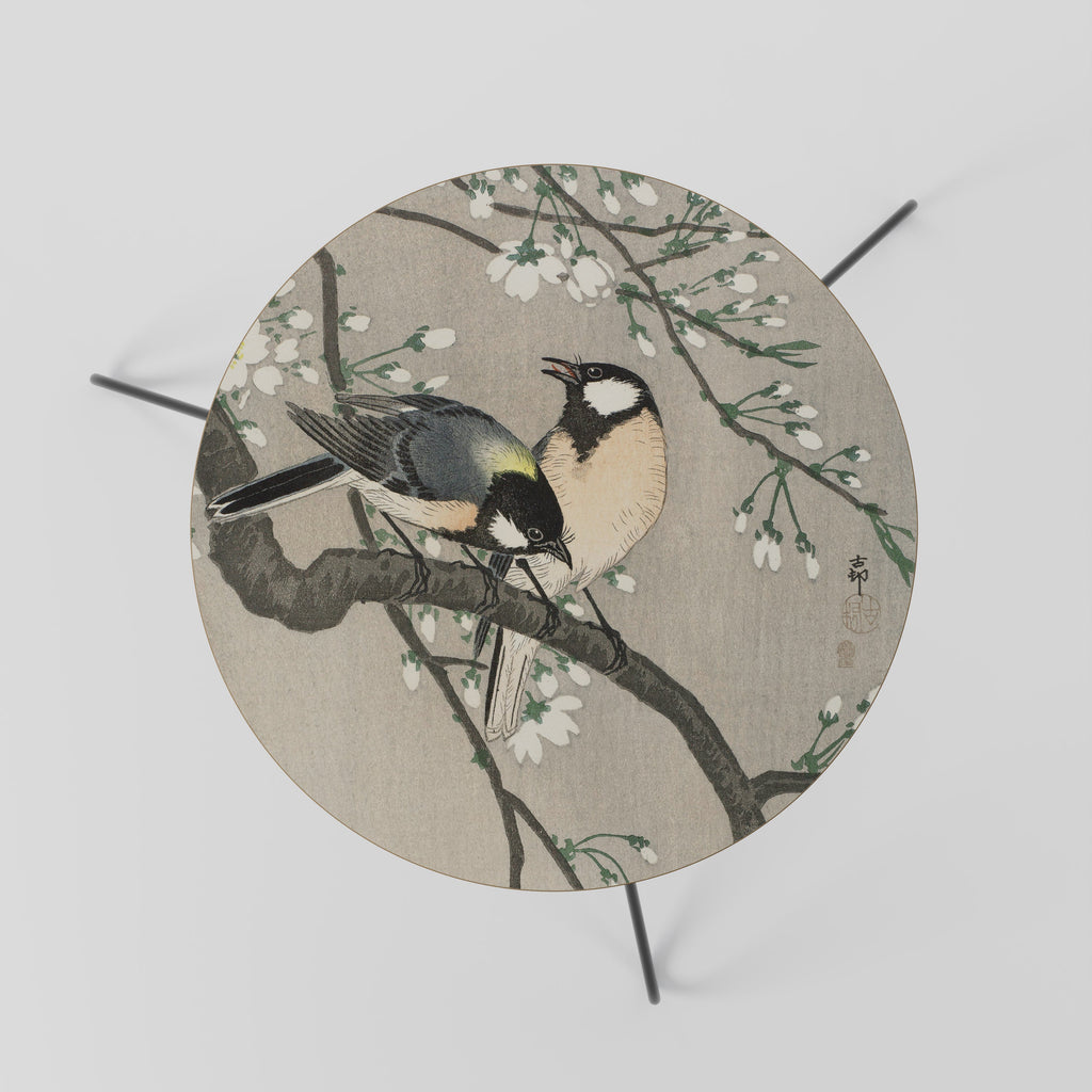 TITS ON CHERRY BRANCH Coffee Table 60