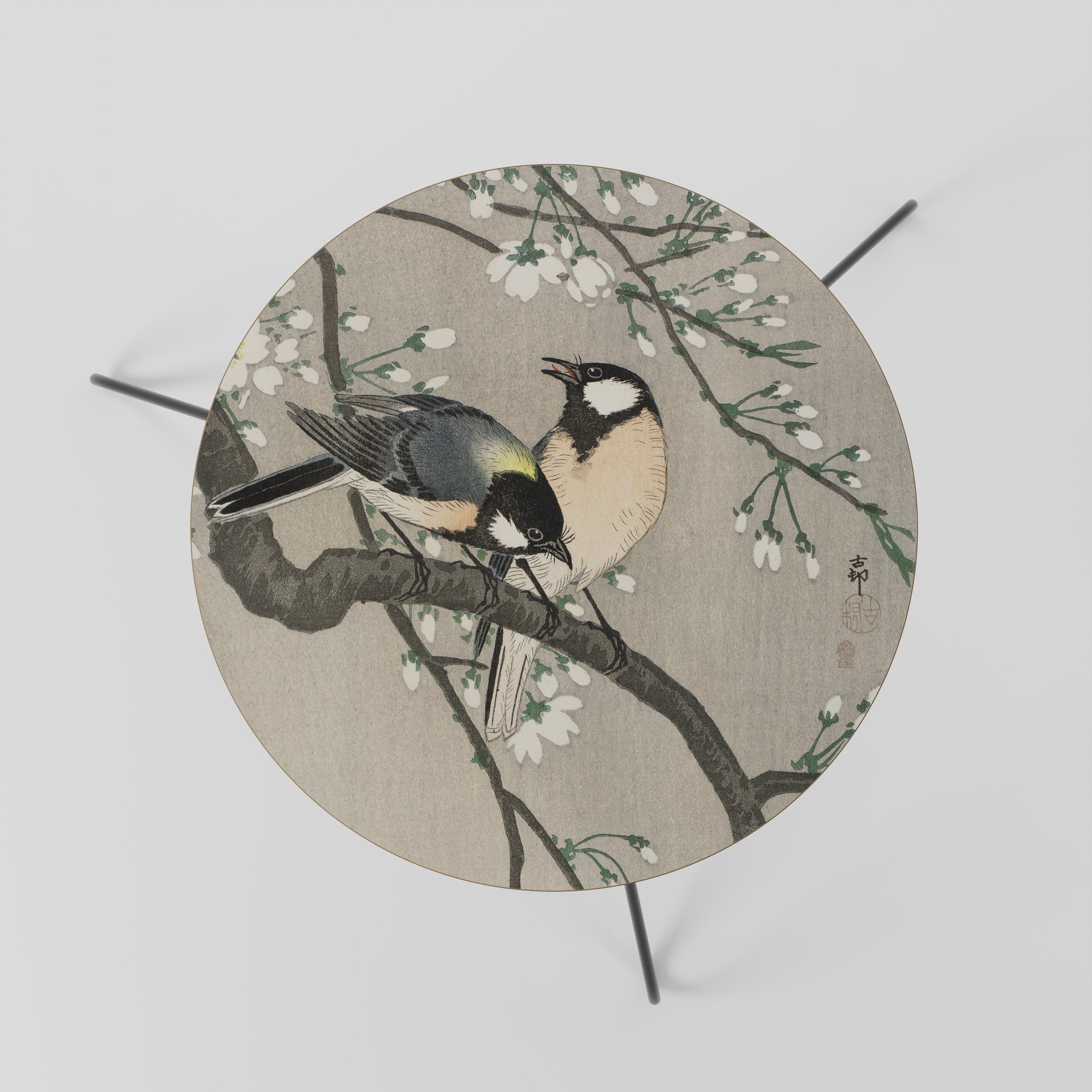 TITS ON CHERRY BRANCH Coffee Table 60