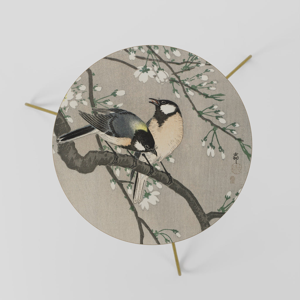 TITS ON CHERRY BRANCH Coffee Table 60