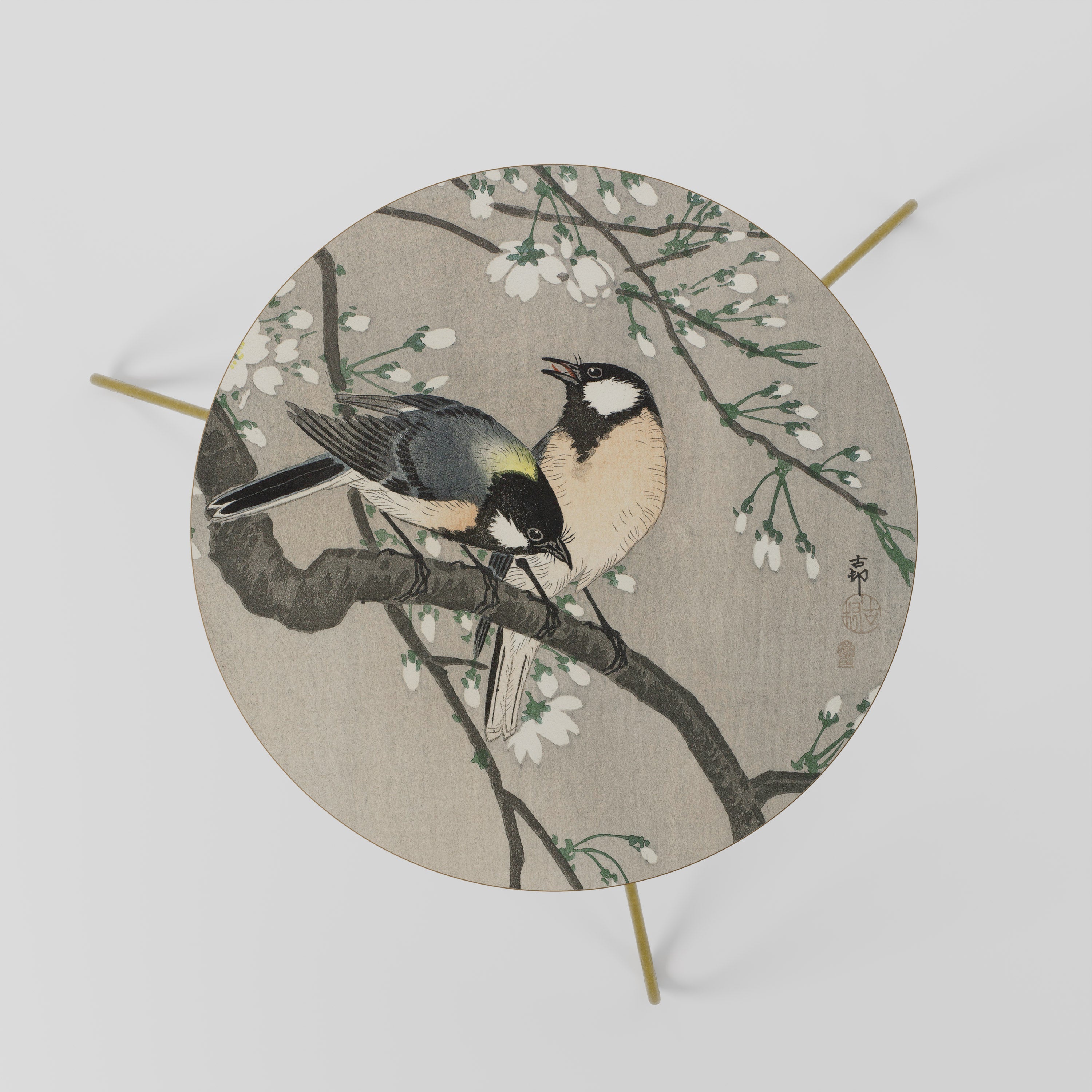 TITS ON CHERRY BRANCH Coffee Table 60