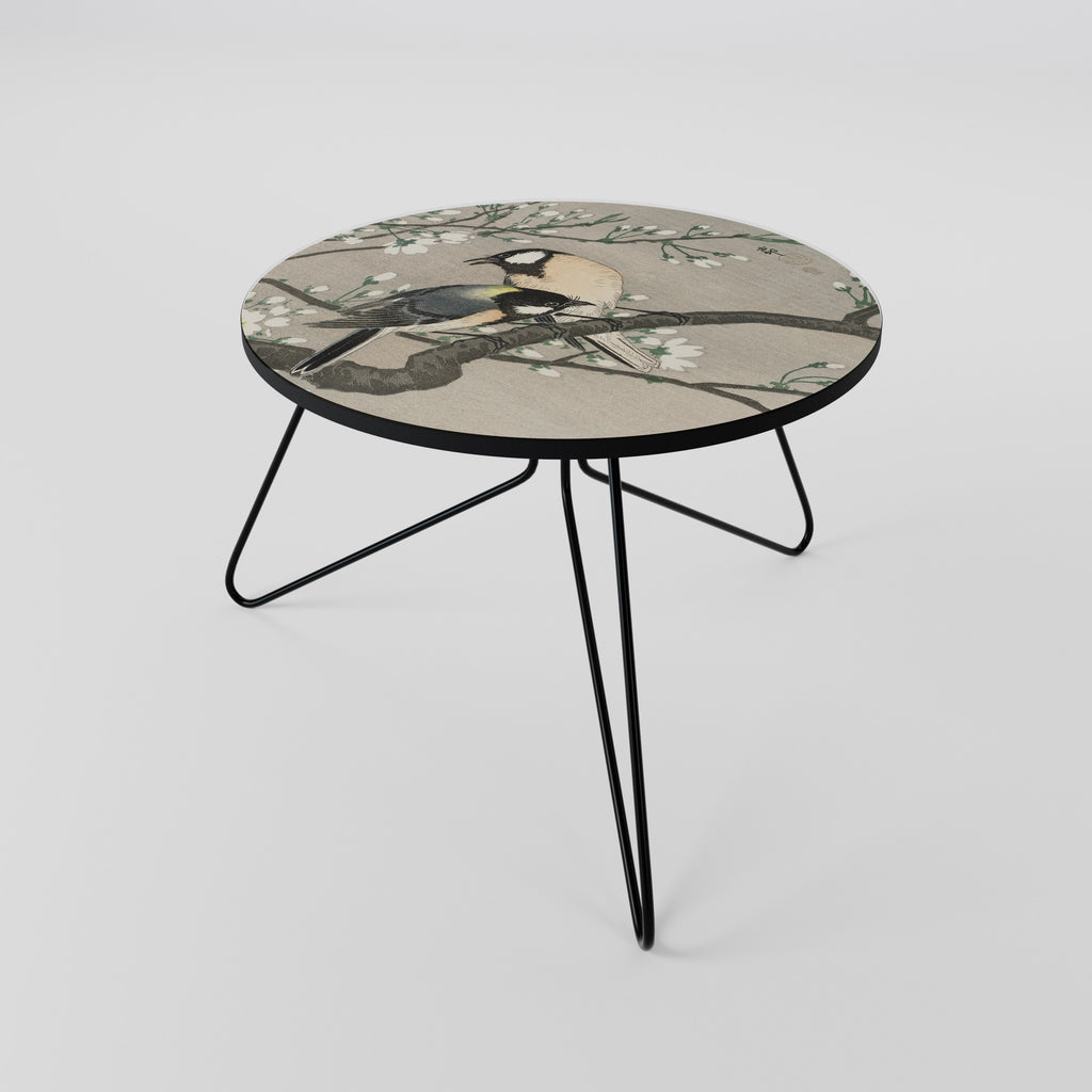 TITS ON CHERRY BRANCH Coffee Table
