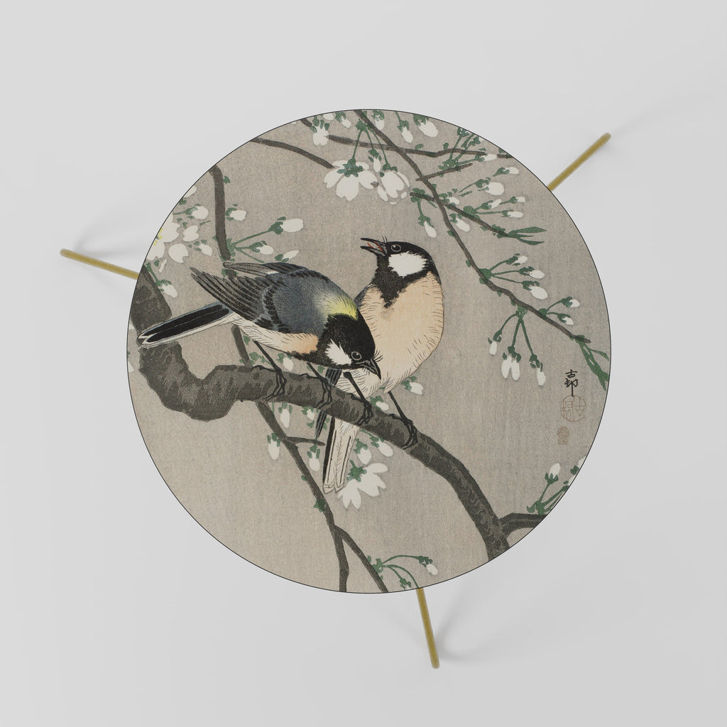 TITS ON CHERRY BRANCH Coffee Table 60