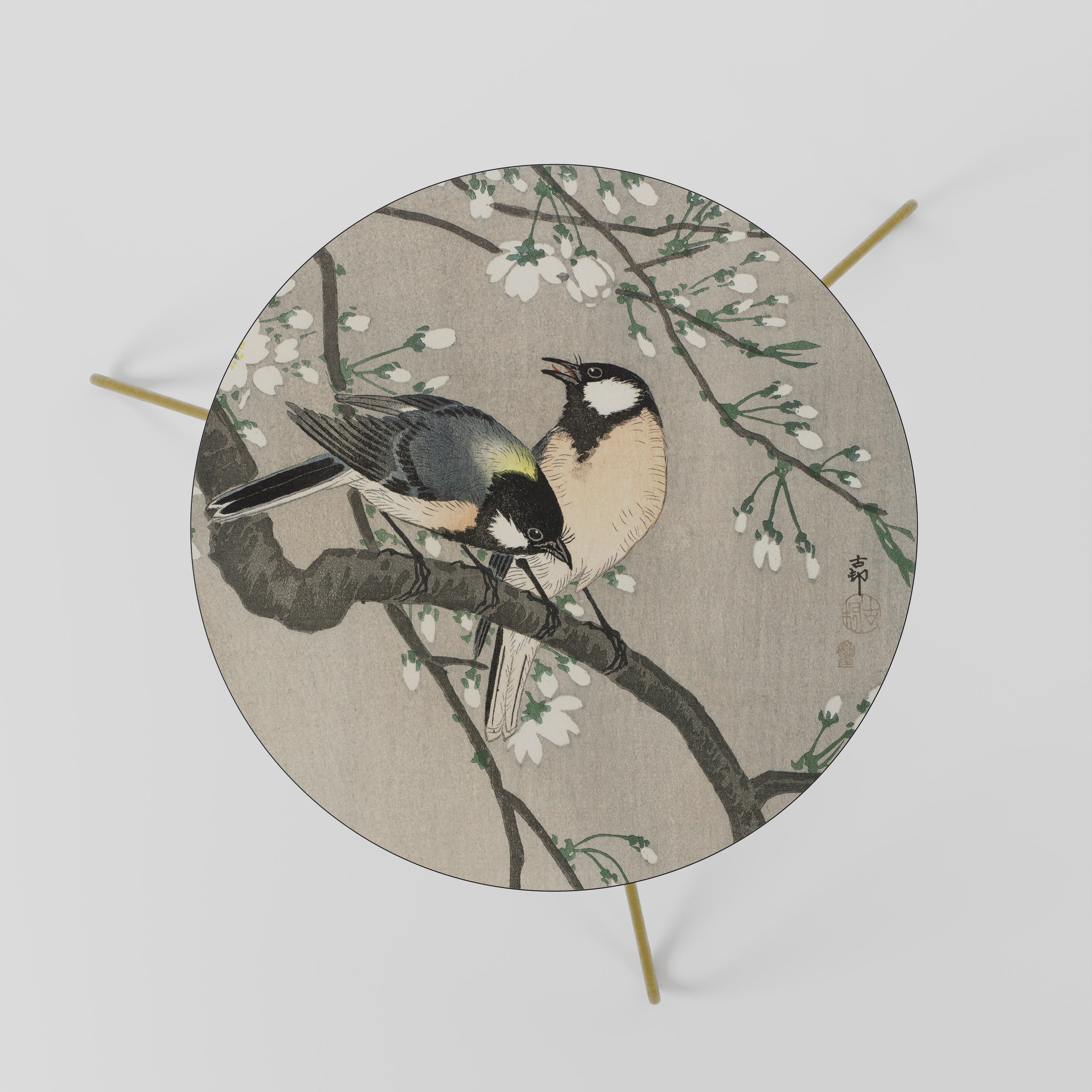 TITS ON CHERRY BRANCH Coffee Table 60