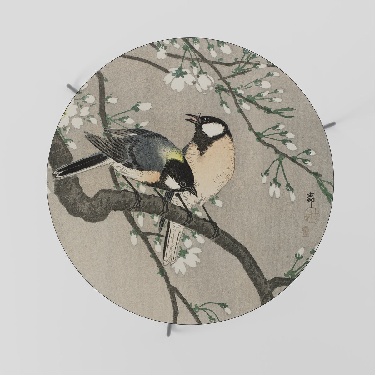 TITS ON CHERRY BRANCH Coffee Table