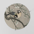 TITS ON CHERRY BRANCH Coffee Table