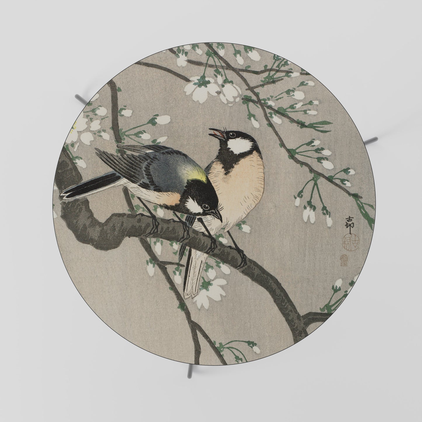 TITS ON CHERRY BRANCH Coffee Table