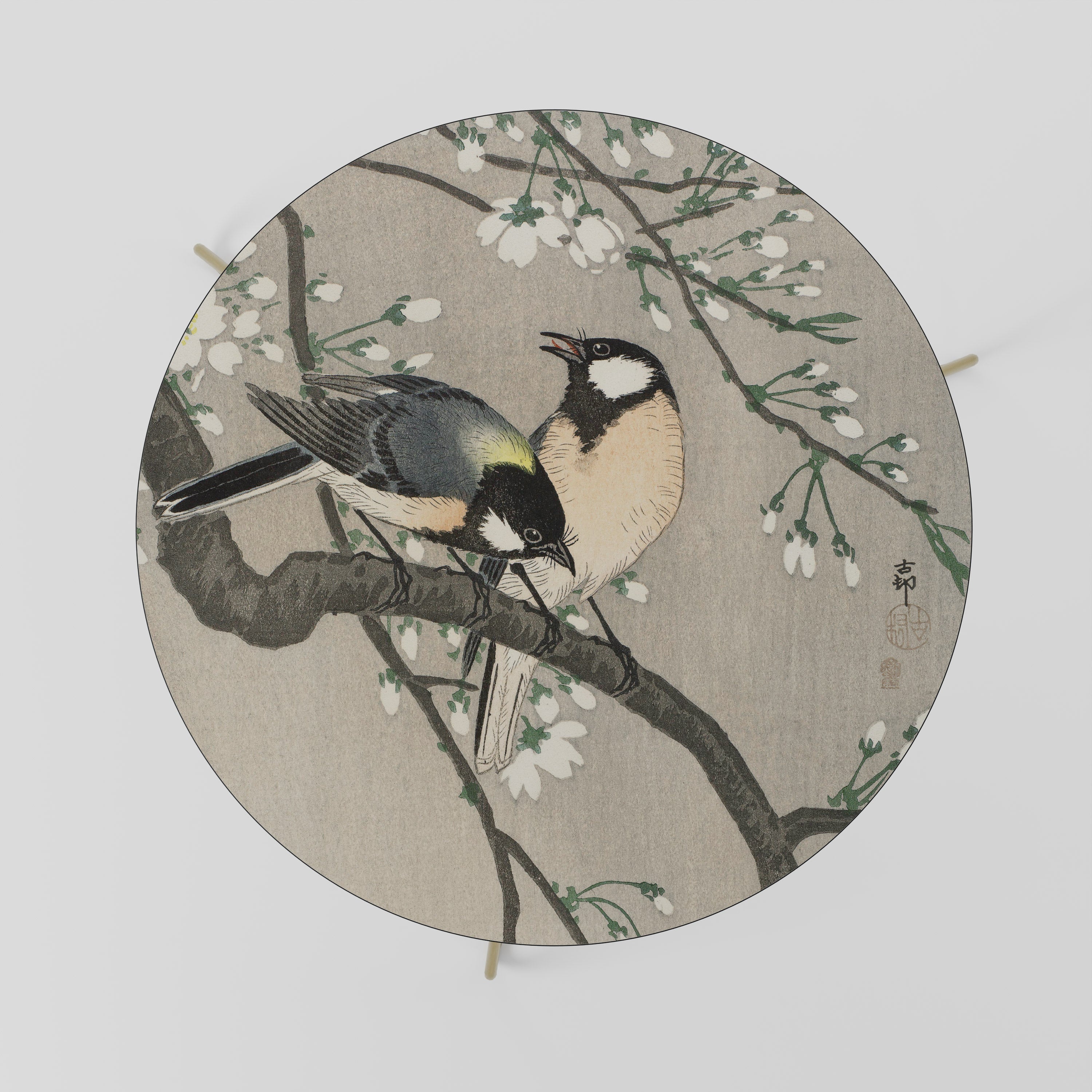 Table basse TITS ON CHERRY BRANCH 69