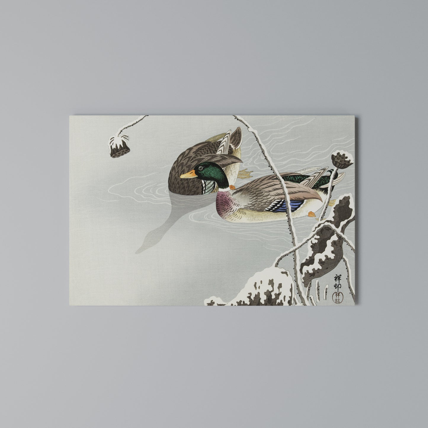 DANCE OF DUCKS Horizontal Canvas Print