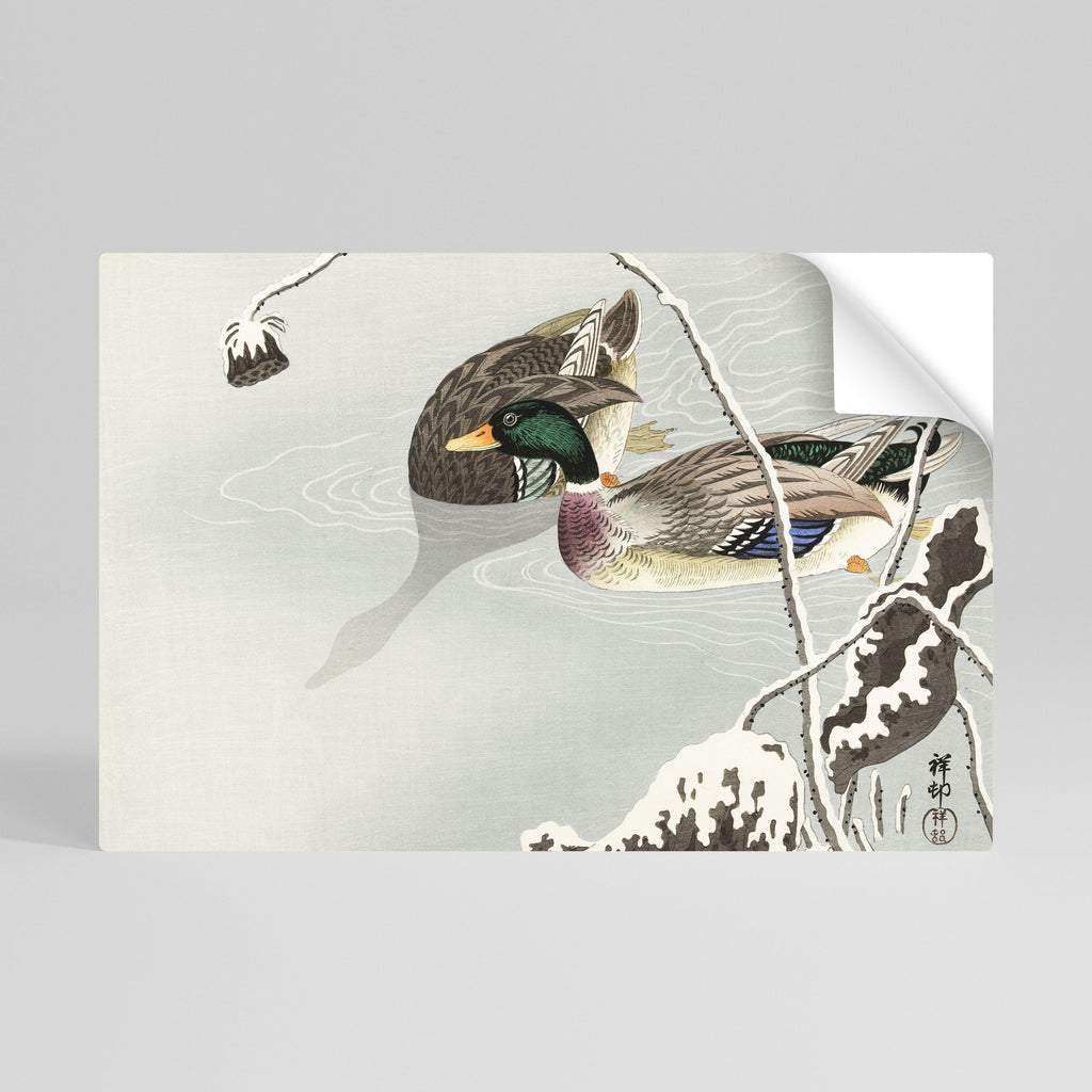 Affiche horizontale autocollante « DANCE OF DUCKS »