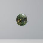 VIRGIN FOREST WITH SUNSET Art Shelf